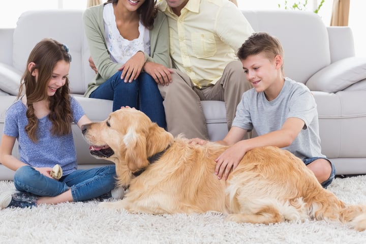 Happy siblings stroking dog while father and mother sitting on sofa at home