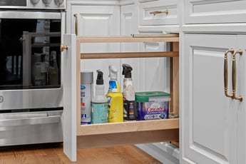 Pull-out cabinet with cleaning supplies 