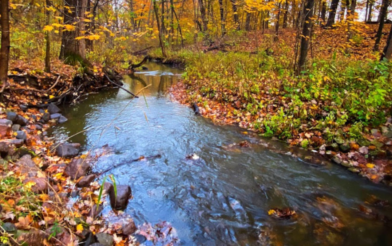 longgrove4