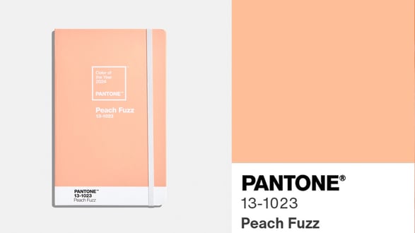 pantone's color of the year peach fuzz swatch