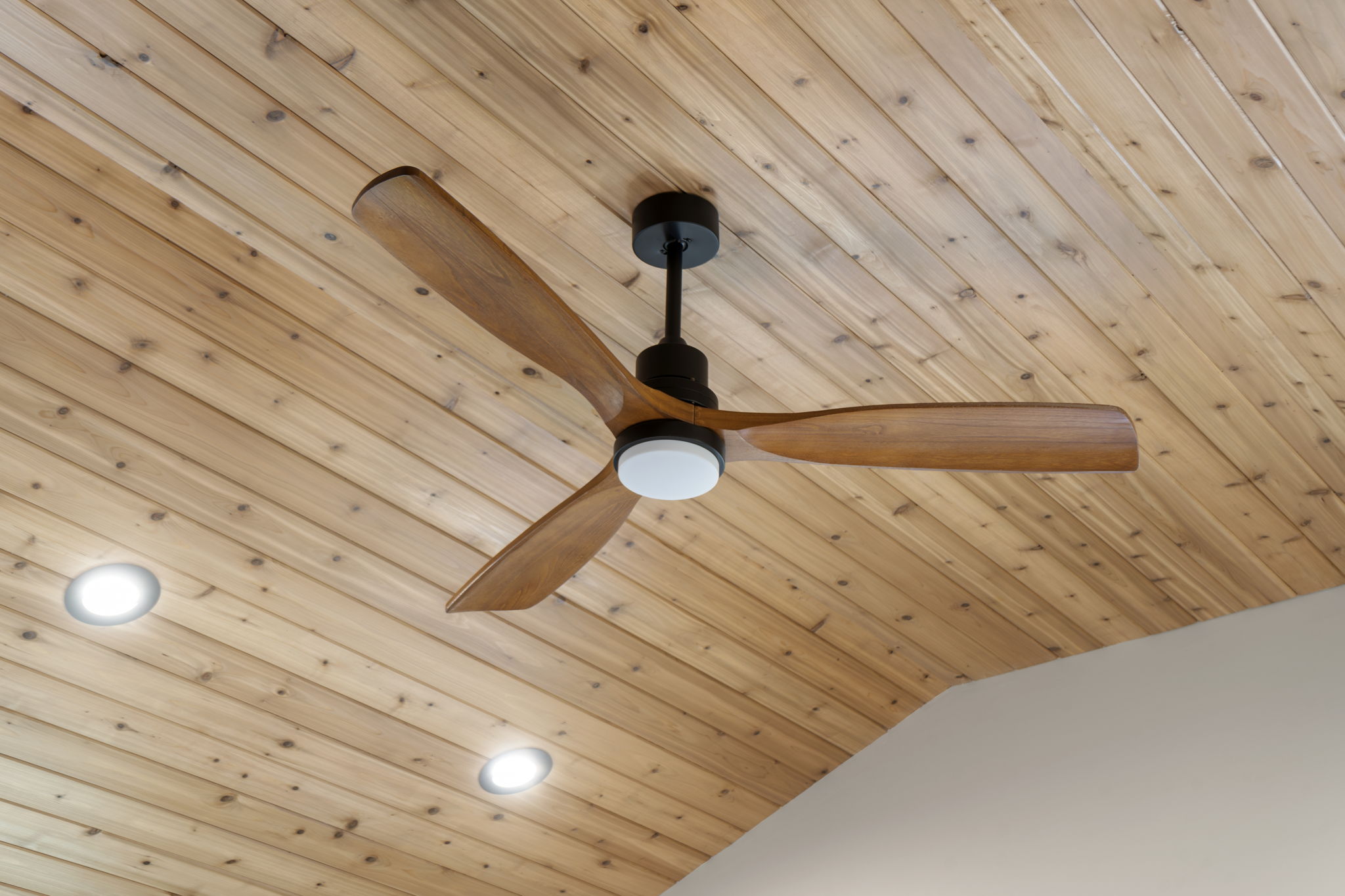 39-web-or-mls-159-timber-hill-rd